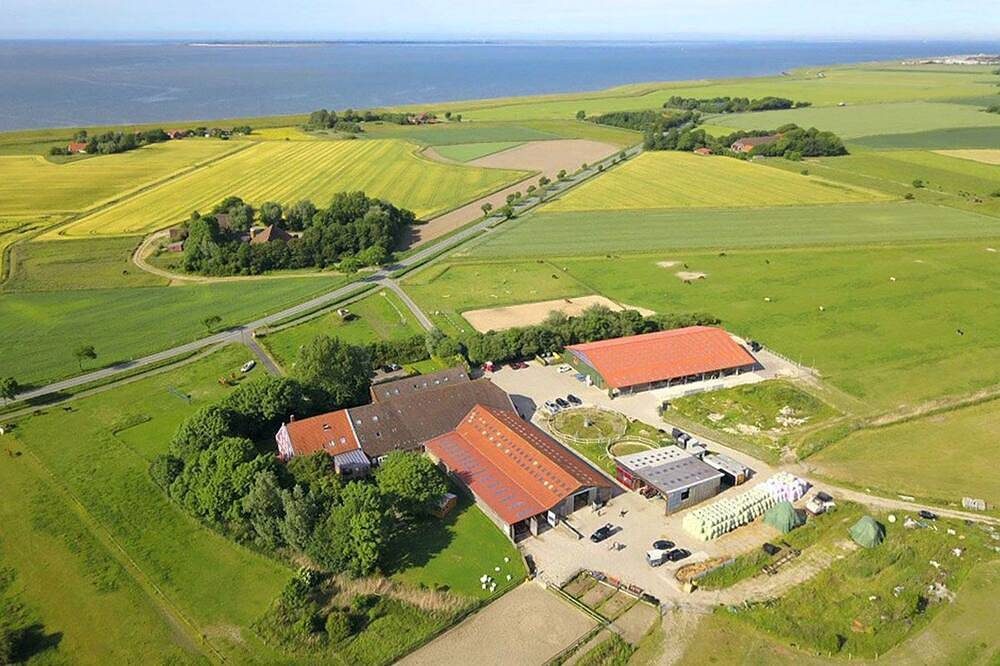 Ferienwohnung Neuharlingersiel - Reit- und Ferienhof Maack in Ostbense — Bild 2