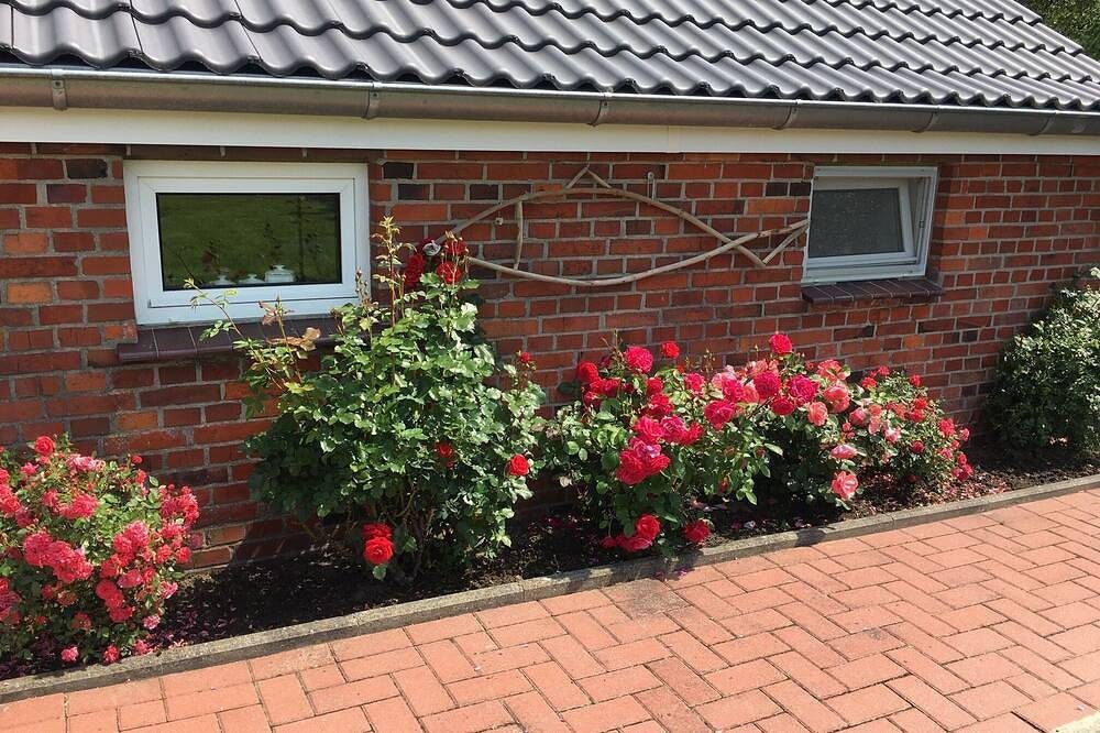 Ferienhaus in direkter Nordseelage — Bild 4