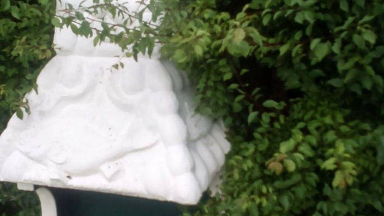 Ferienwohnung für 4 Personen (80 m²) in Langeoog — Bild 5
