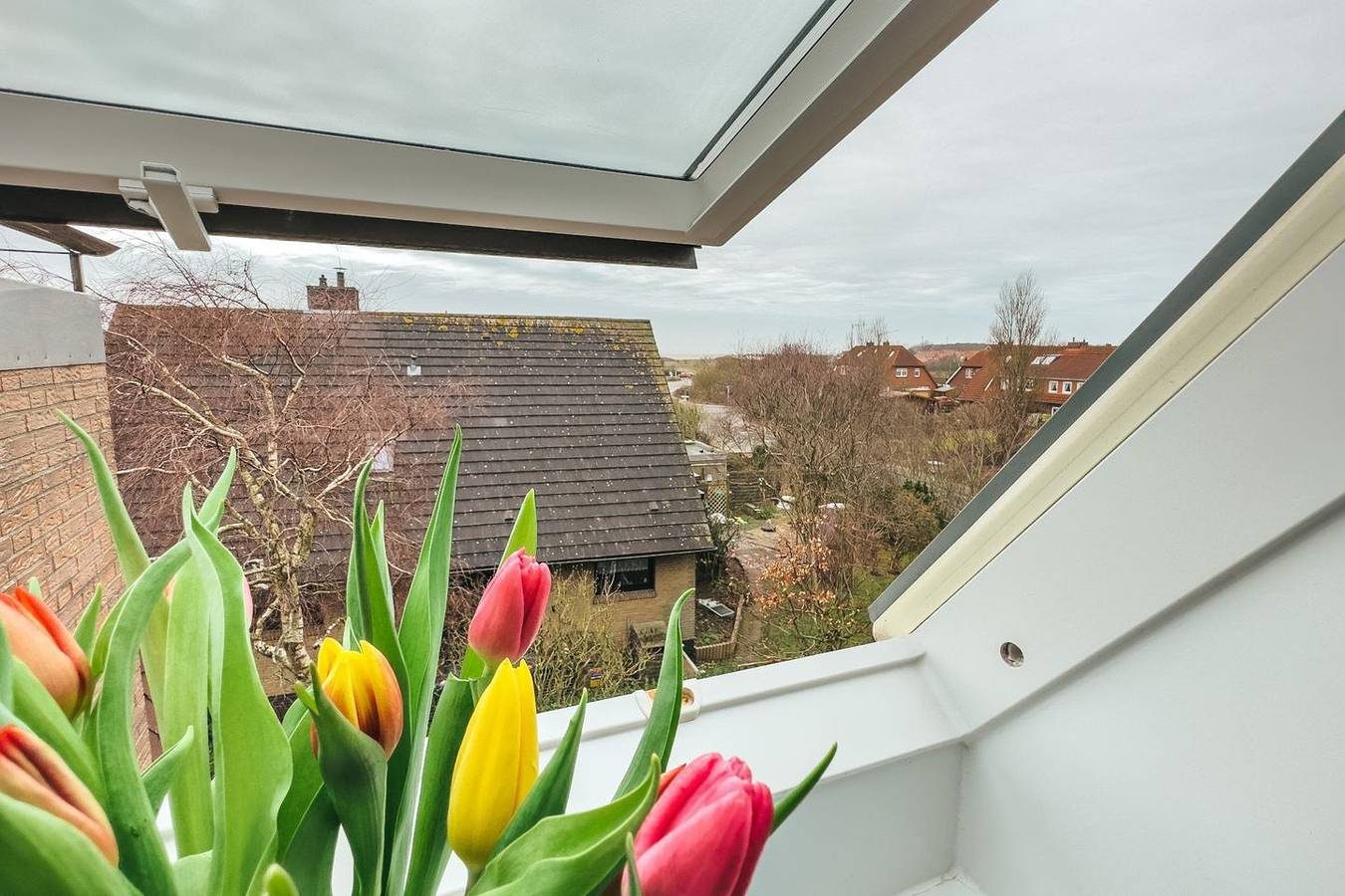 Gemütliche 3 Raum-Ferienwohnung für bis zu 2 Personen — Bild 5