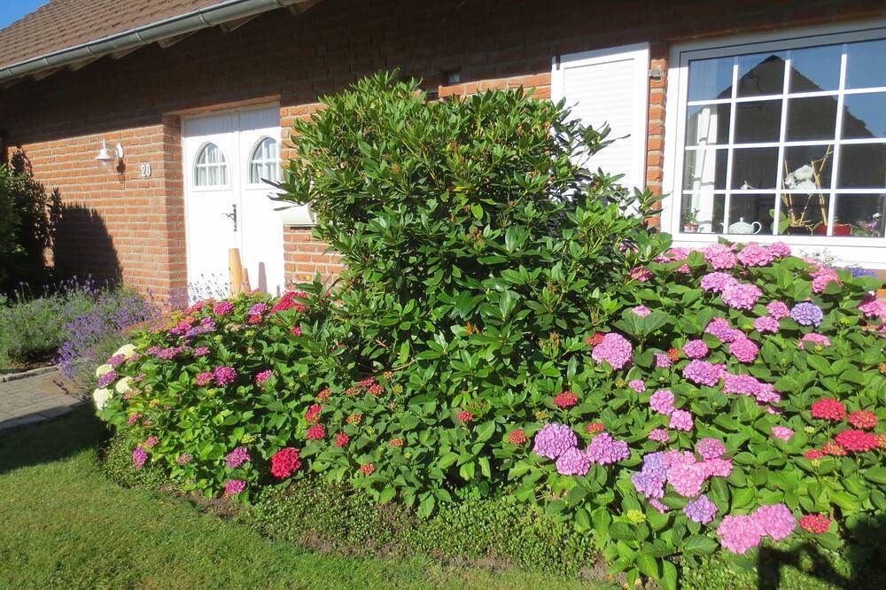 moderne 4****  Ferienwohnung im Luftkurort Hage — Bild 4