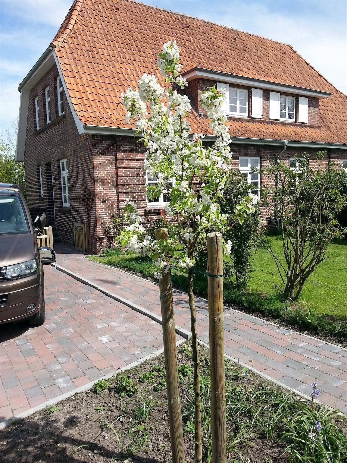 Kleines Paradies am Tief — Bild 2