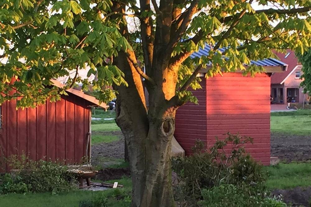 familienfreundliche  Ferienwohnung mit großem Garten — Bild 3