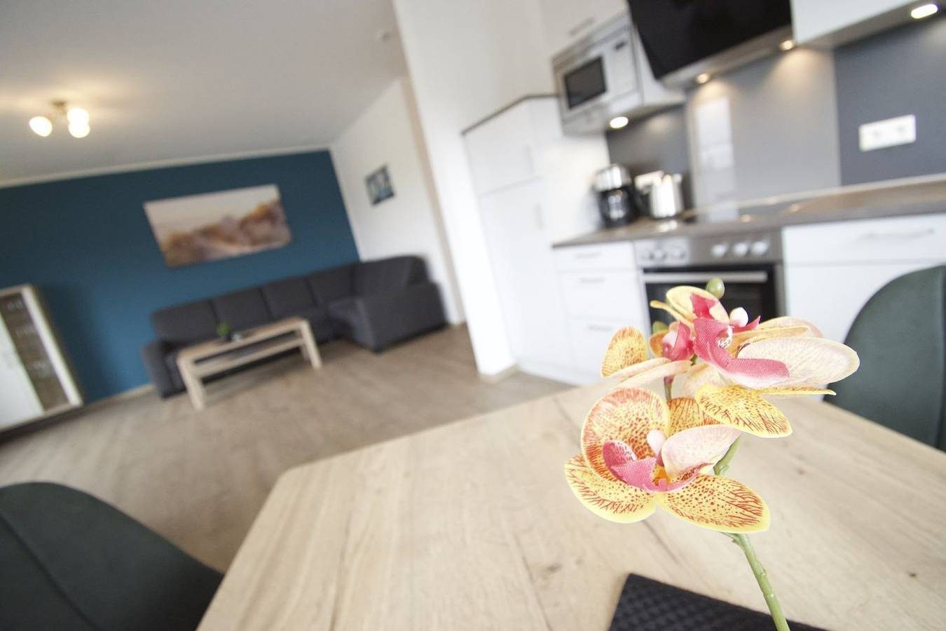 Norden: Apartment Möwennest (7/1) – Luxus pur in