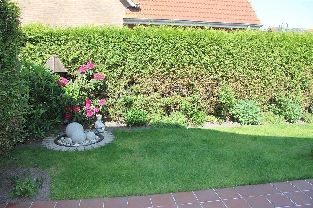 Ferienhaus Biene — Bild 3