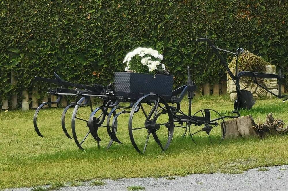 Nordsee Gulfhof Ferienwohnung mit großem Garten — Bild 5