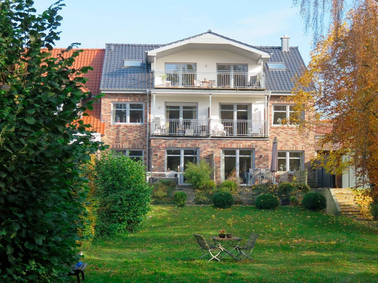 Zaunkönig — Bild 2
