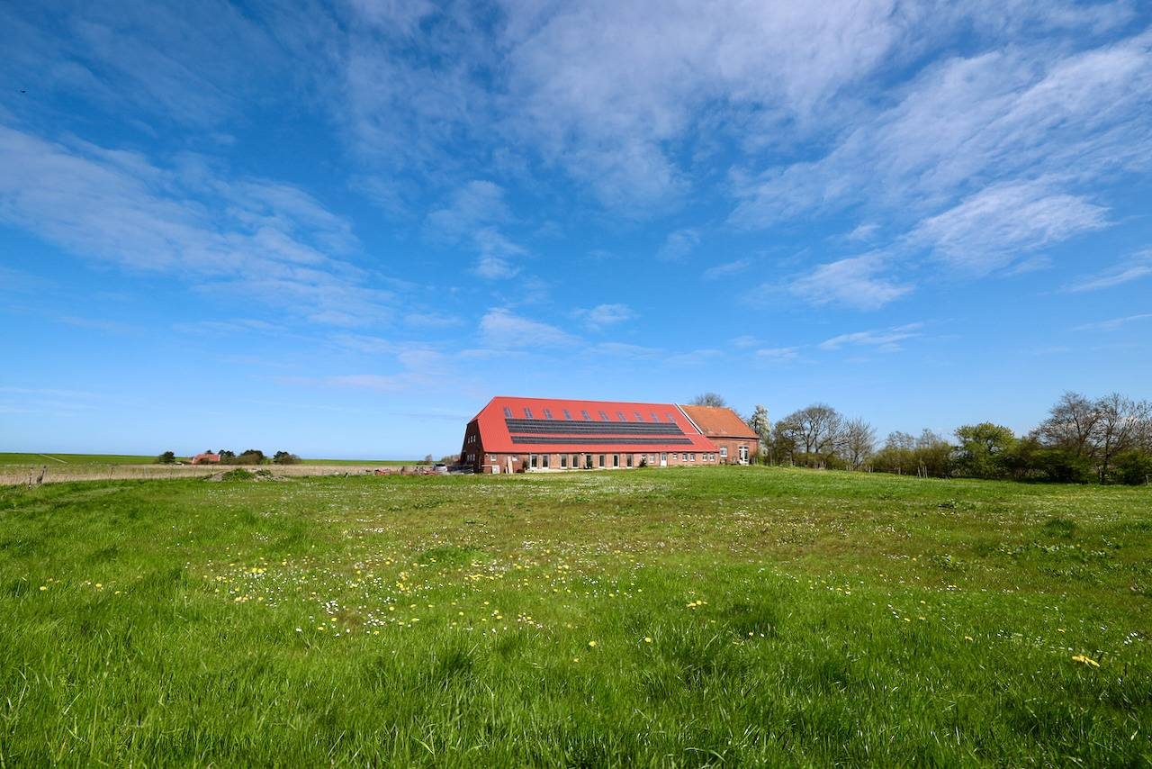 Deichhof Diekhammswarf - Nowinski - Ferienwohnung Sömmertied - 25168 — Bild 2