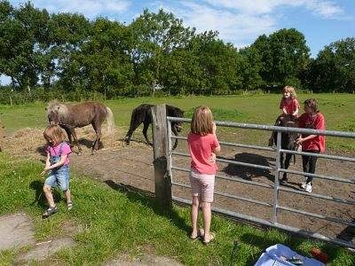 Ferienhof Bremer - Zweibettzimmer Nordblick - 21017 — Bild 3