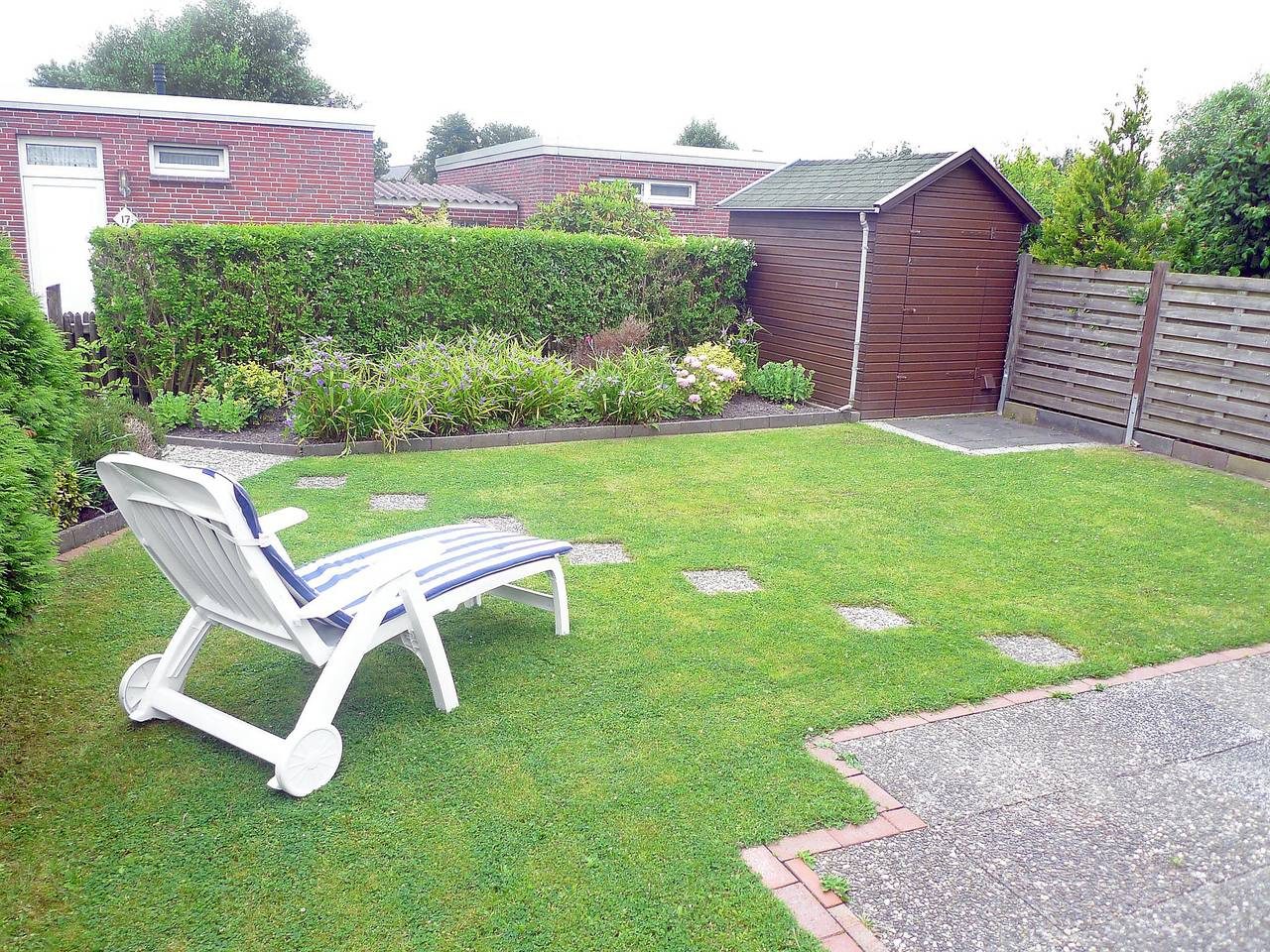 Seefalke — Bild 2