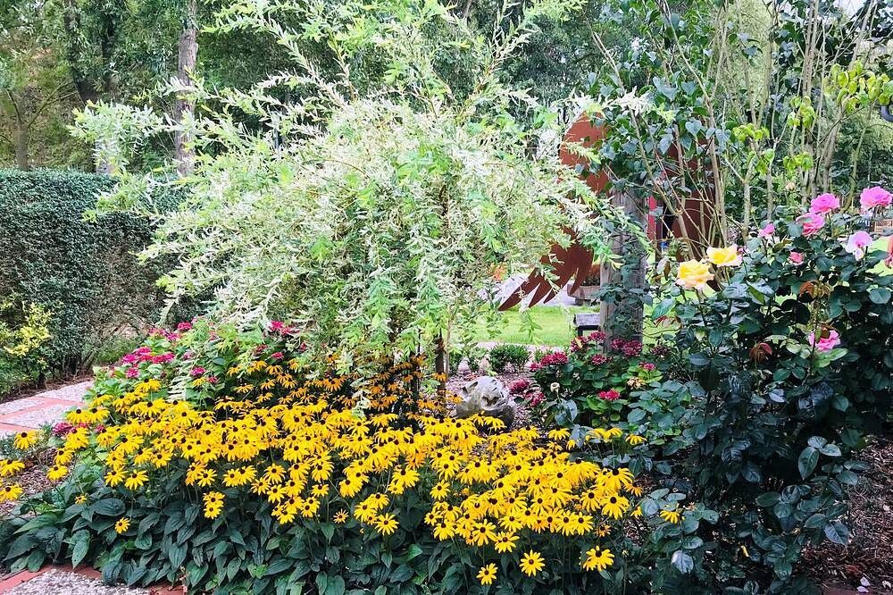 familienfreundliche  Ferienwohnung mit großem Garten — Bild 5