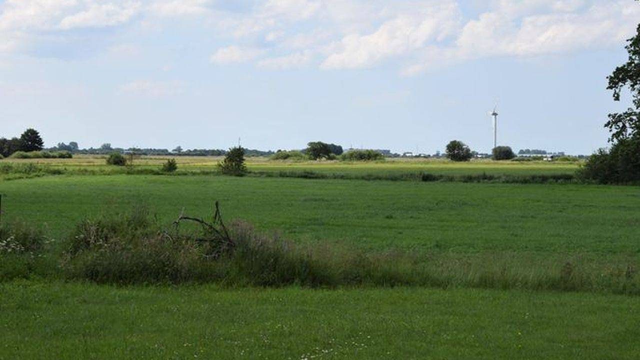 Ferienhaus für 6 Personen (154 m²) in Südbrookmerland — Bild 4
