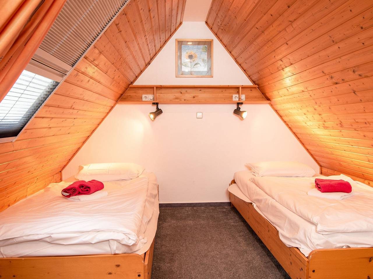 Schäfer — Bild 5