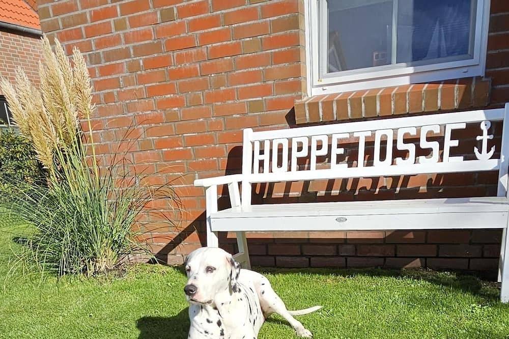 Hundefreundliche Wohnung in zentraler Lage! — Bild 5