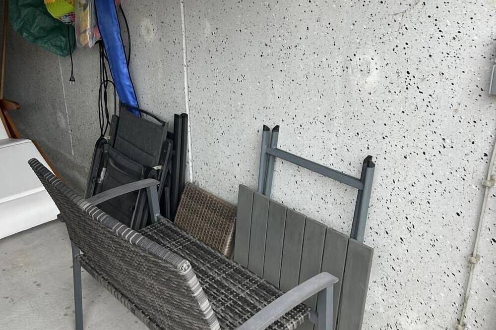 Kiebitznest in Dornum — Bild 5