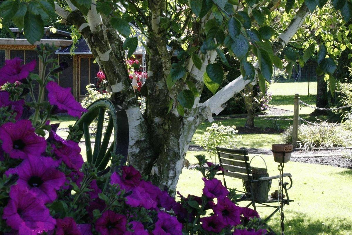 Komfortable Ferienwohnung in Wilhelmsfehn mit Grill, Garten und Terrasse — Bild 3