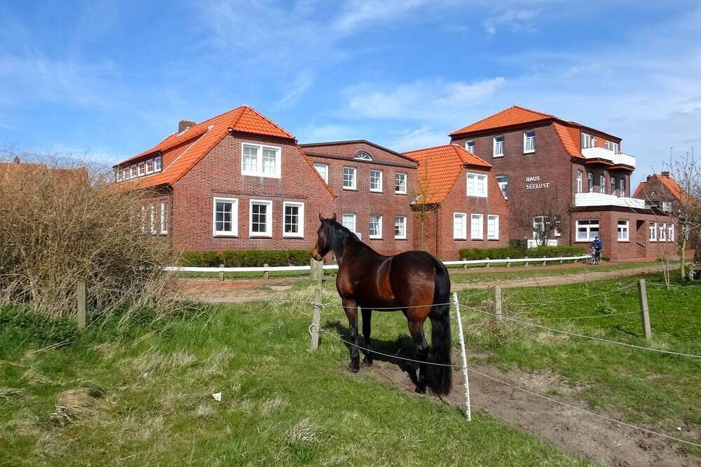 Maritime Ferienwohnung im wunderschönen Ostdorf von Juist — Bild 2
