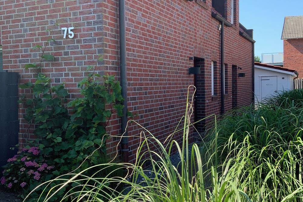 Südstrand Hus - Urlaub mit Hund - Wohnung 4 oben — Bild 5
