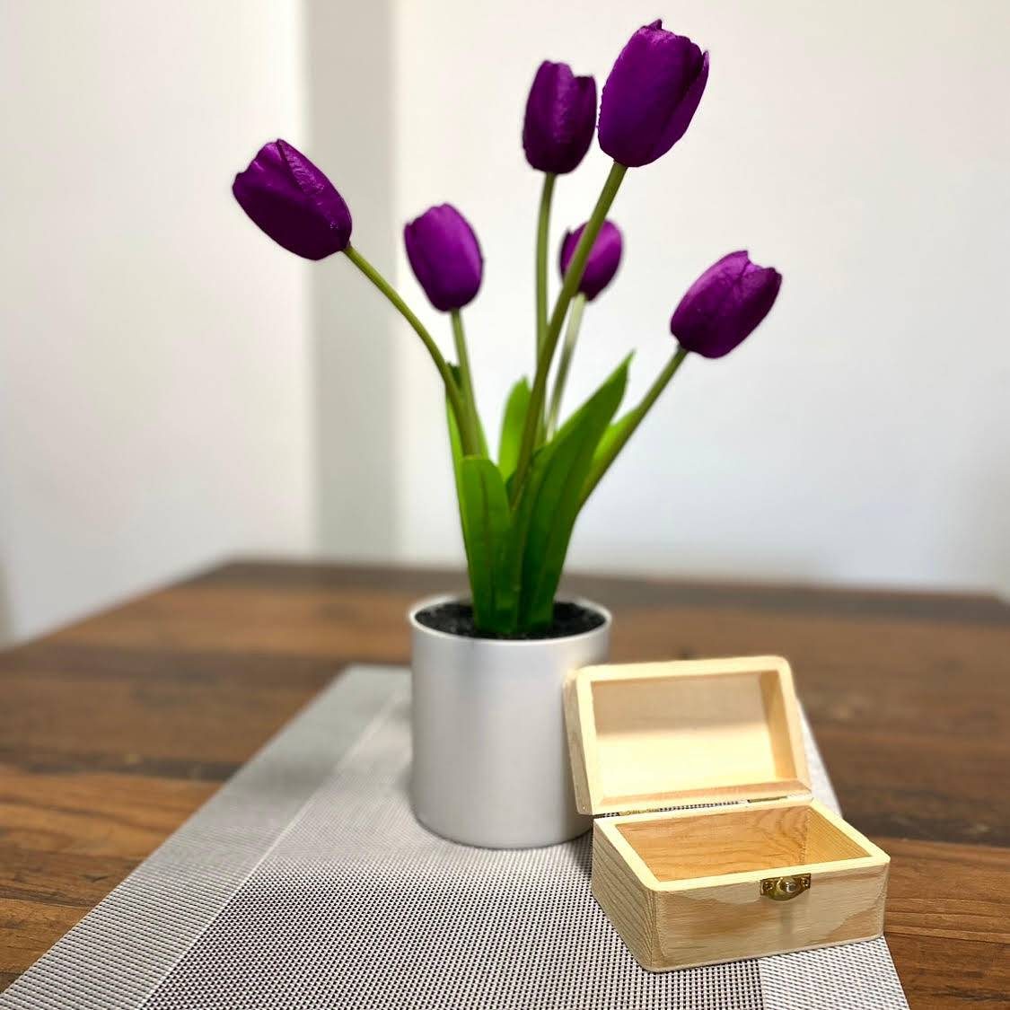 Ferienwohnung "Robbe 2" mit Gemeinschaftsgarten & Wlan — Bild 3