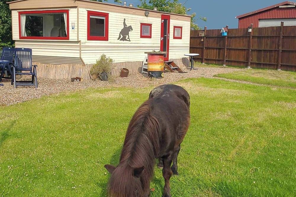 Urlaub mit Campingflair, Komfort und Ponies — Bild 3