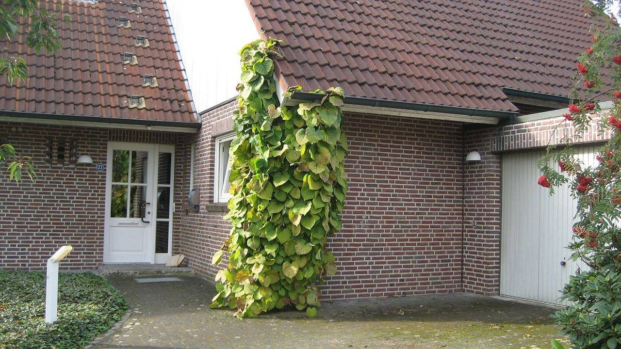 Ferienwohnung für 3 Personen (73 m²) in Schüttorf