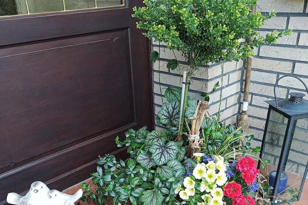 Ferienwohnung Wiesmoor für 1 - 2 Personen mit 1 Schlafzimmer - Ferienwohnung — Bild 3