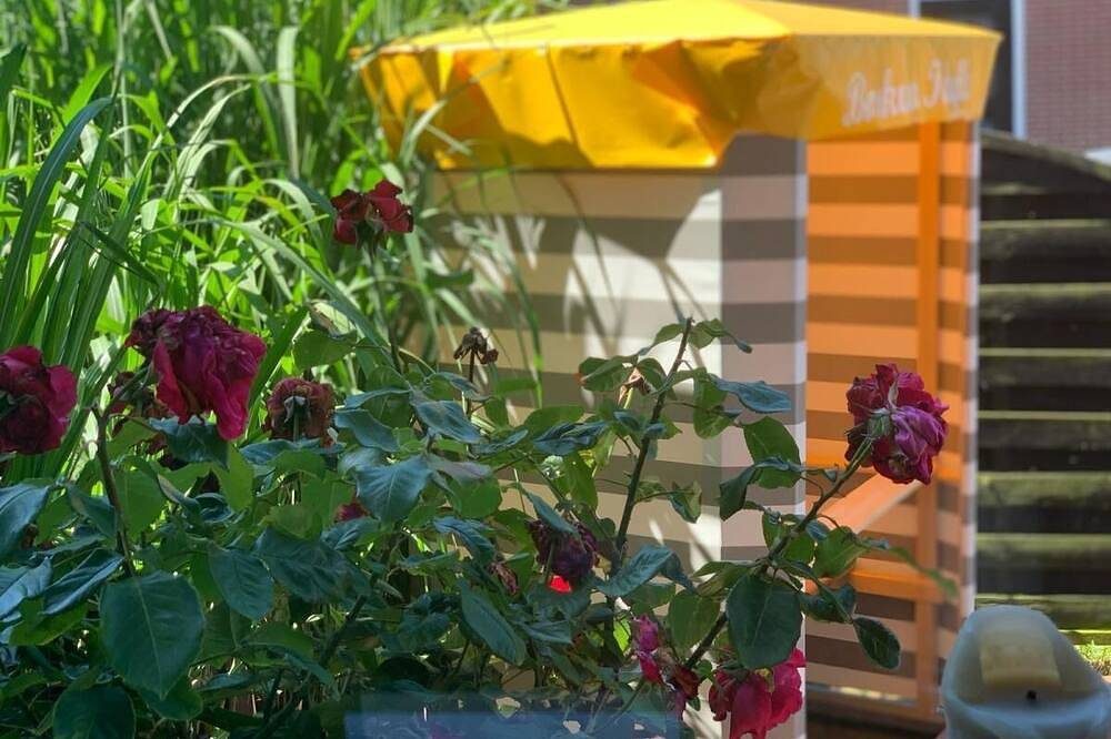 Ferienwohnung Seestern <br>Hier sind Sie wirklich auf der Sonnenseite angekommen. — Bild 3