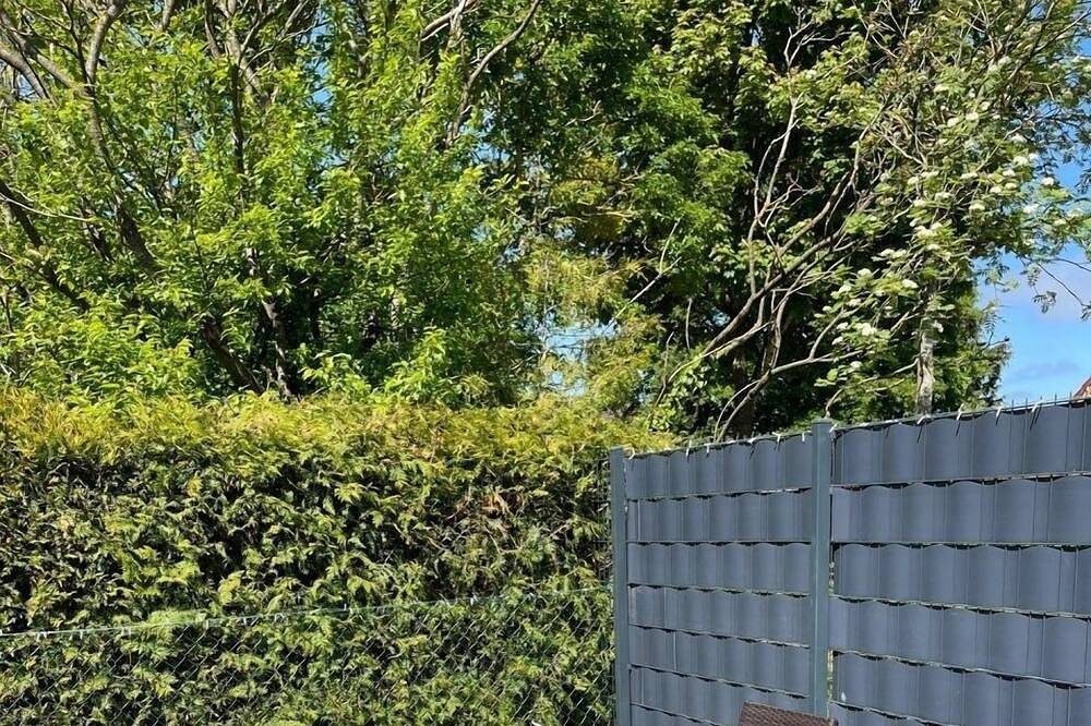 Ferienwohnung\/App. für 4 Gäste mit 50m² in Aurich (176127) — Bild 3