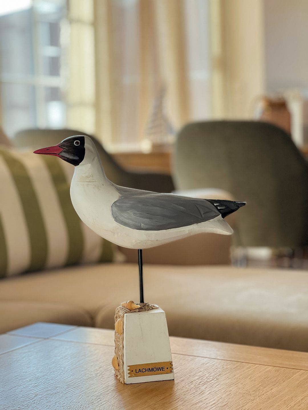 Möwennest - Lachmöwe — Bild 4