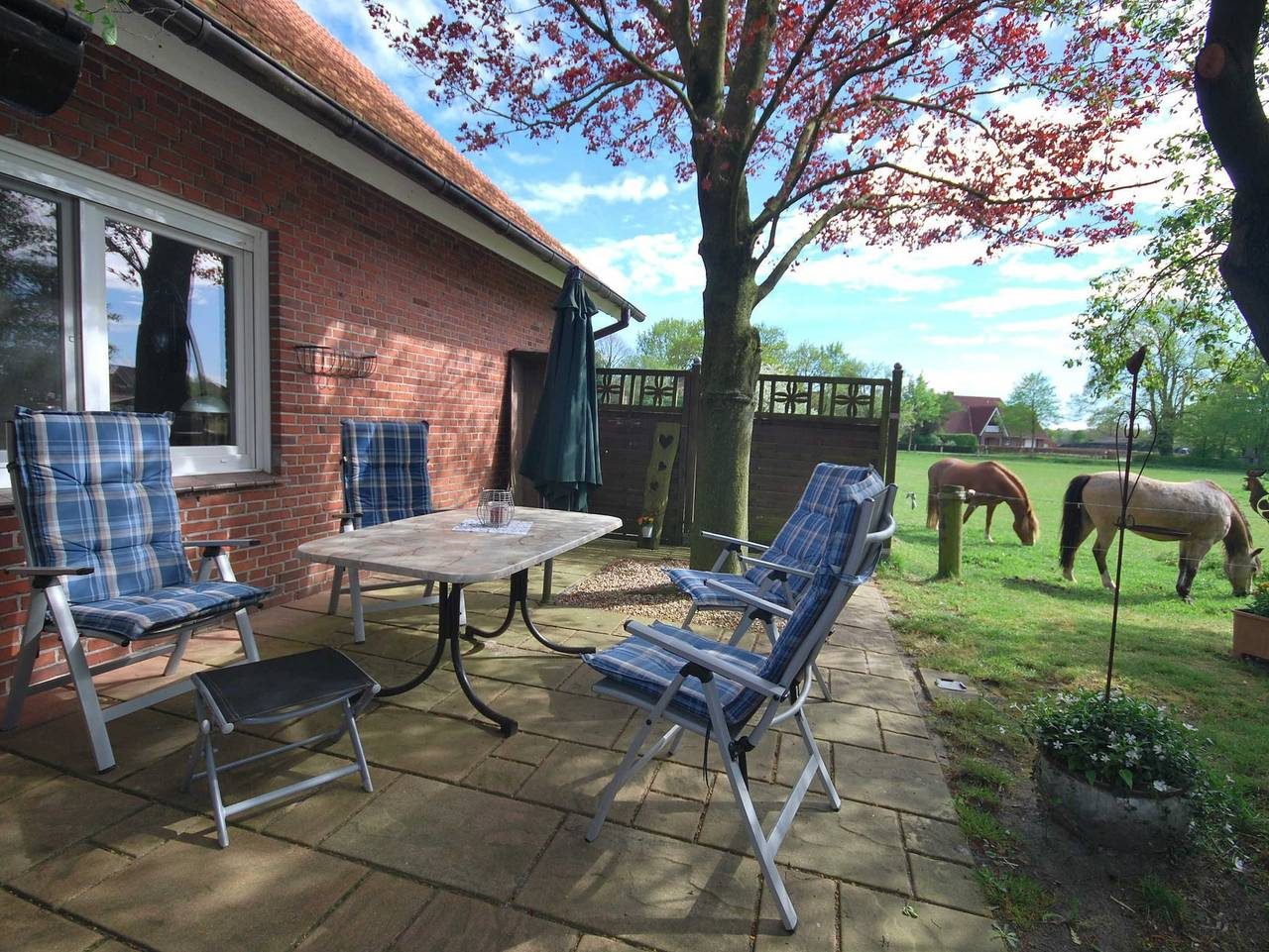 Ferienhaus Ruth's Huus 35637