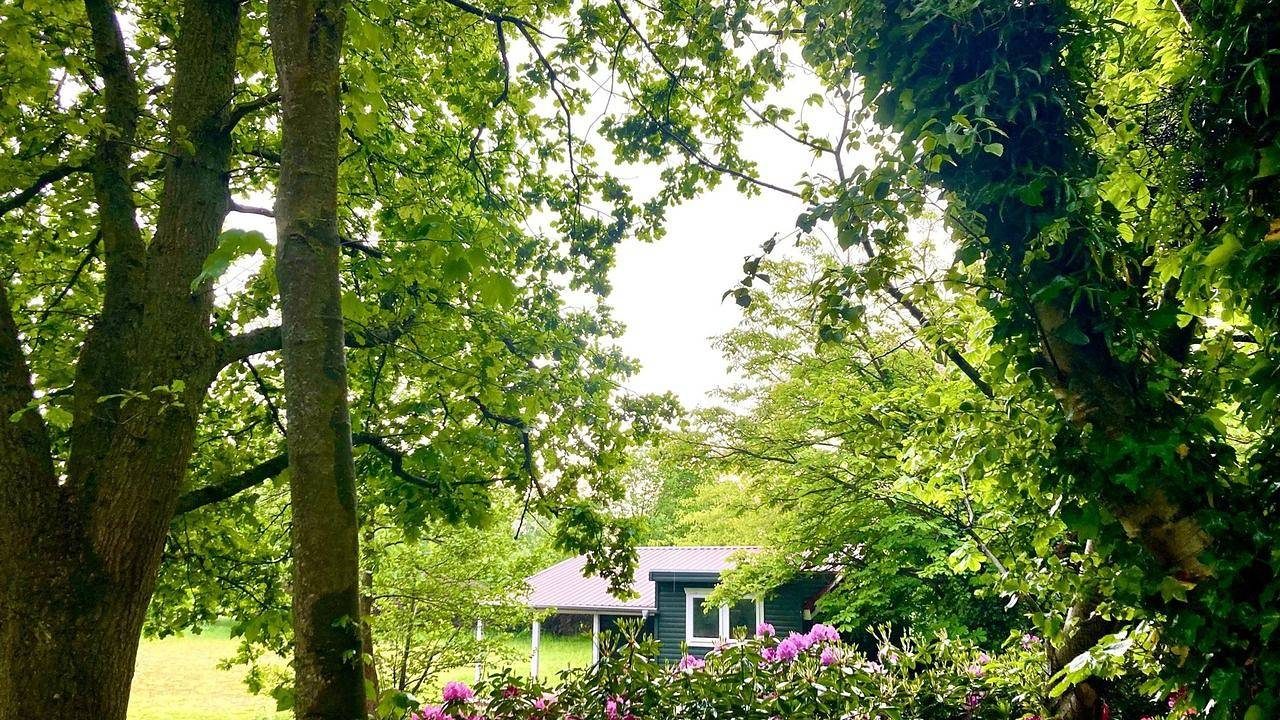 Ferienhaus für 2 Personen (25 m²) in Rechtsupweg