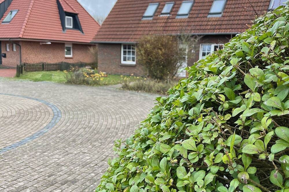 Gemütliche 2-Raum-Wohnung, max. 3 Personen, zentrums- und strandnah — Bild 2