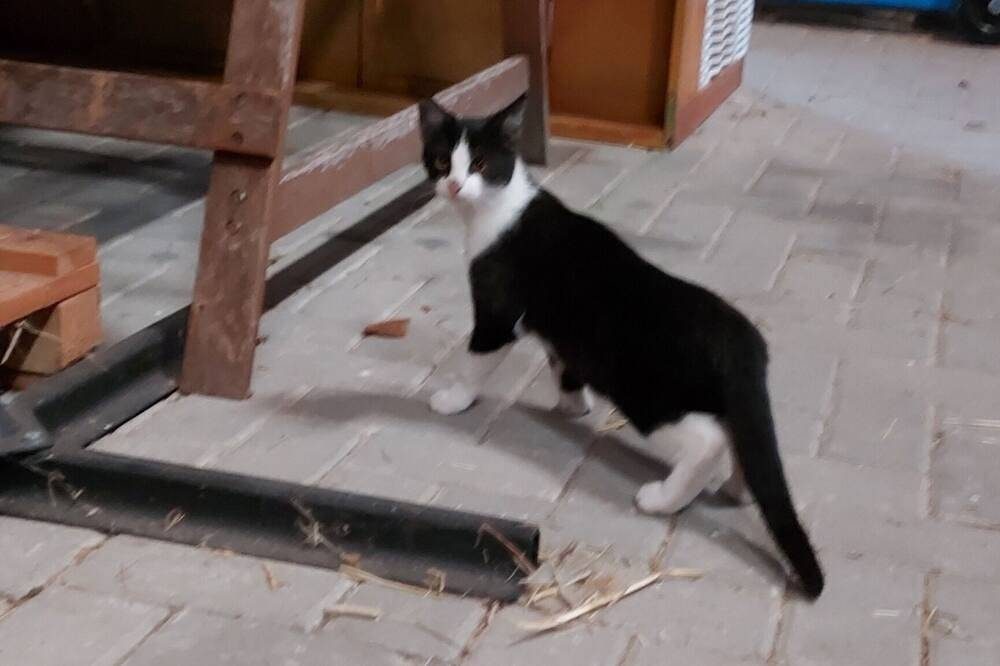 Ferien auf dem Uhlenhoff Appartement Großes Meer — Bild 5