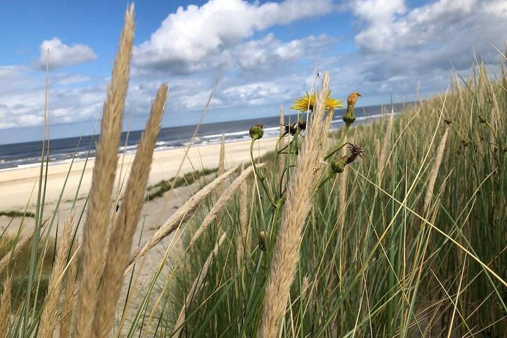 Urlaub auf Langeoog in der gemütlichen Ferienwohnung „Sonne & Meer\" für 3 Person