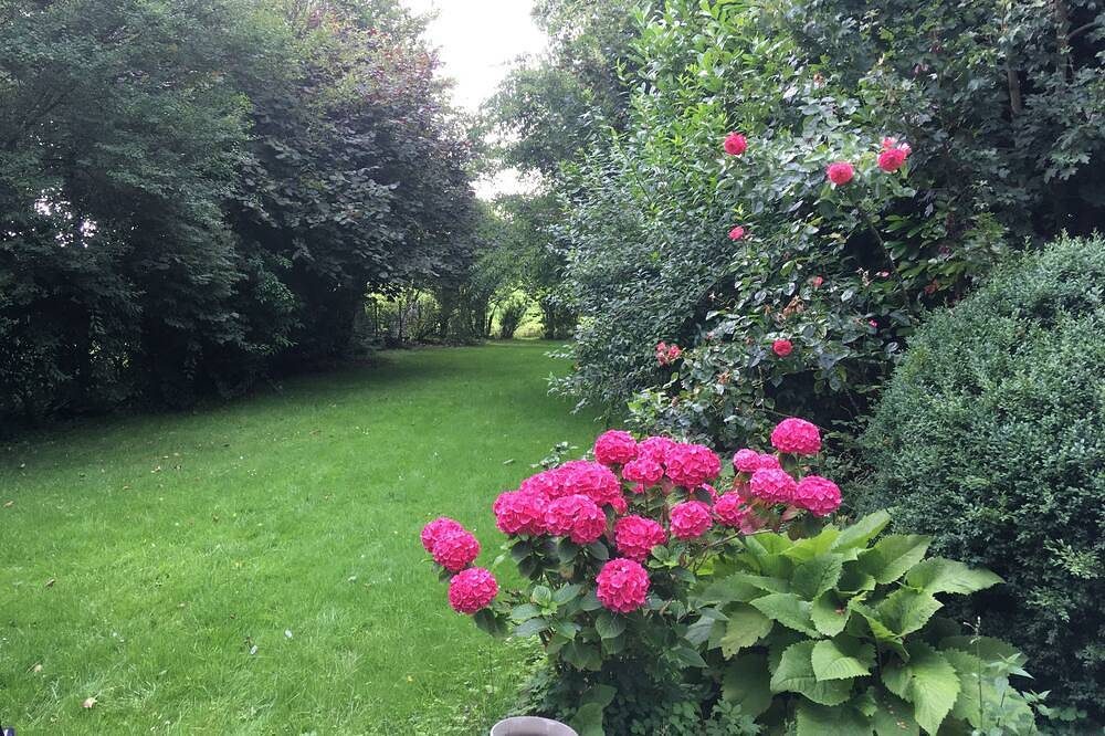 Ferienhaus Uttiet Carolinensiel — Bild 5