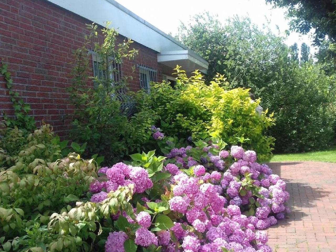 Ferienbungalow Hortensie — Bild 2