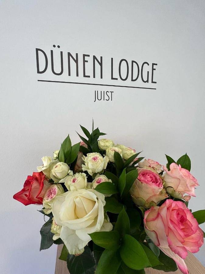 Dünen Lodge 5 — Bild 4