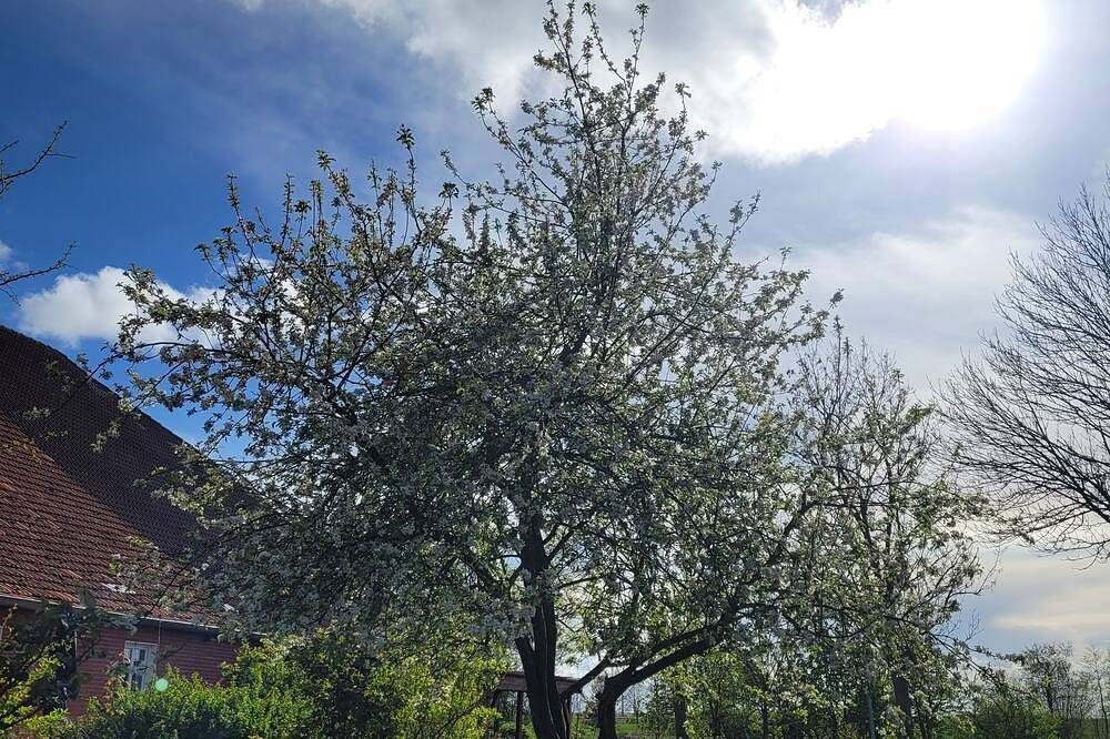 Fewo \"Soeven\" am Hof Anelis — Bild 3