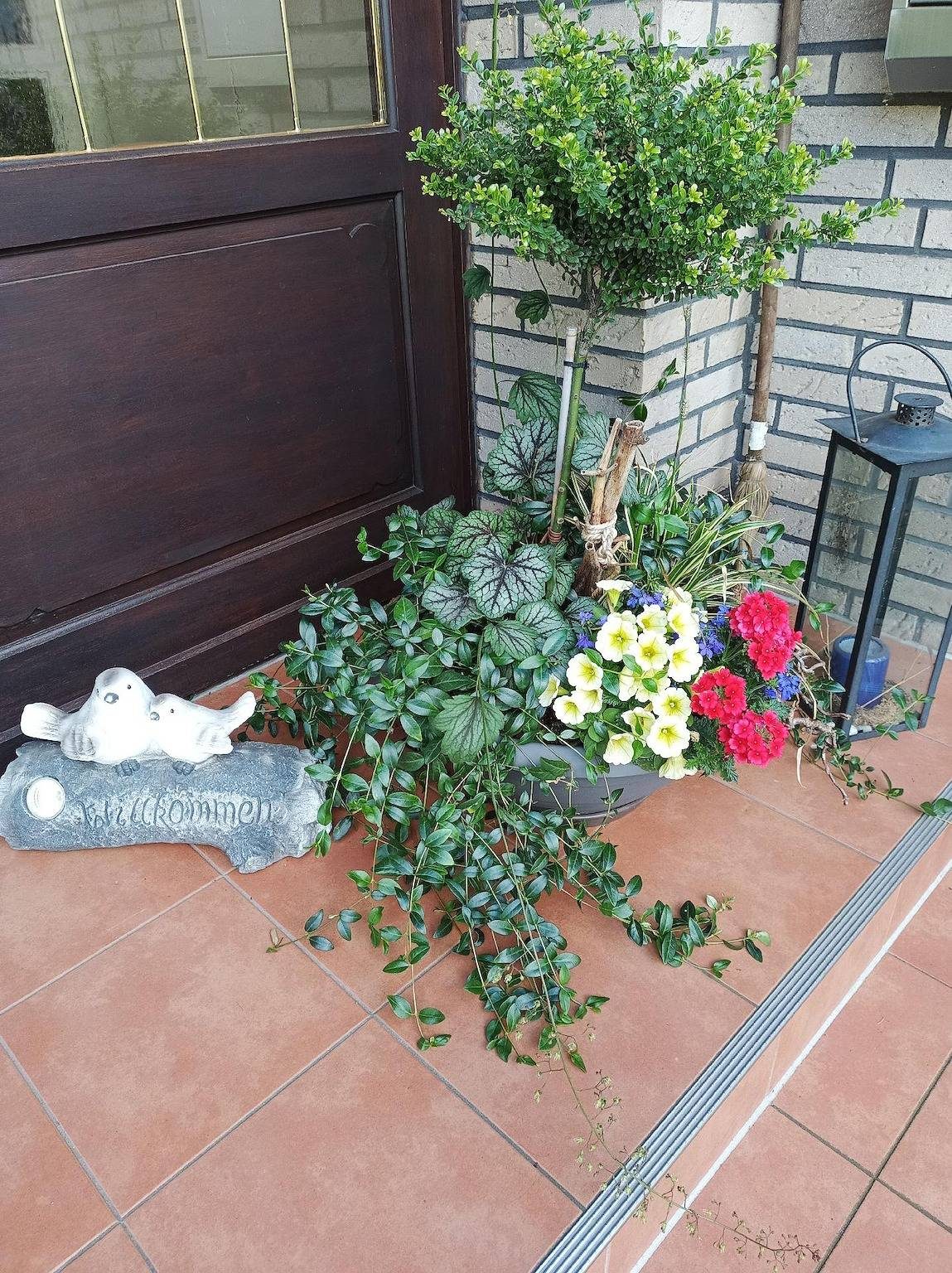 Ferienwohnung Zwei Finken in Wiesmoor — Bild 3