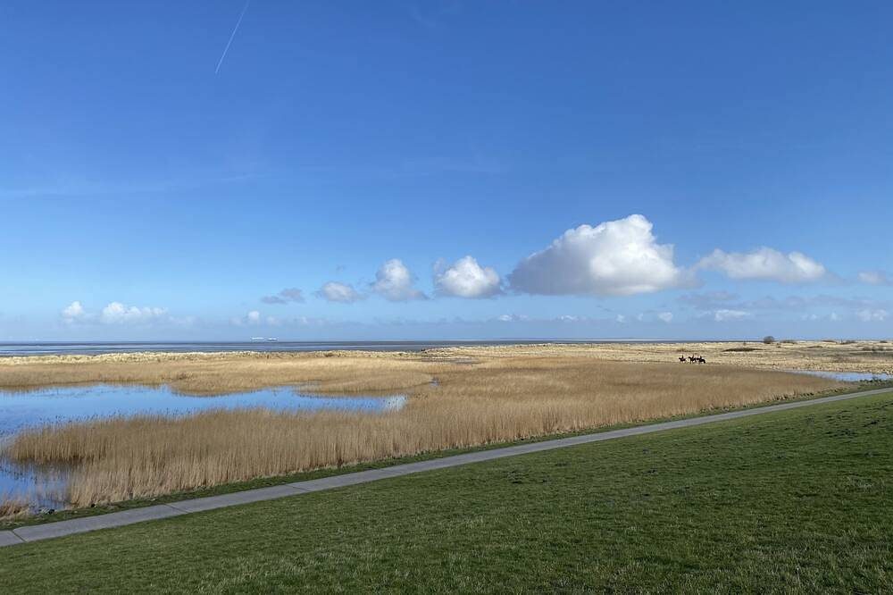 Urlaub am Wattenmeer, Wohnung Kajüte — Bild 5