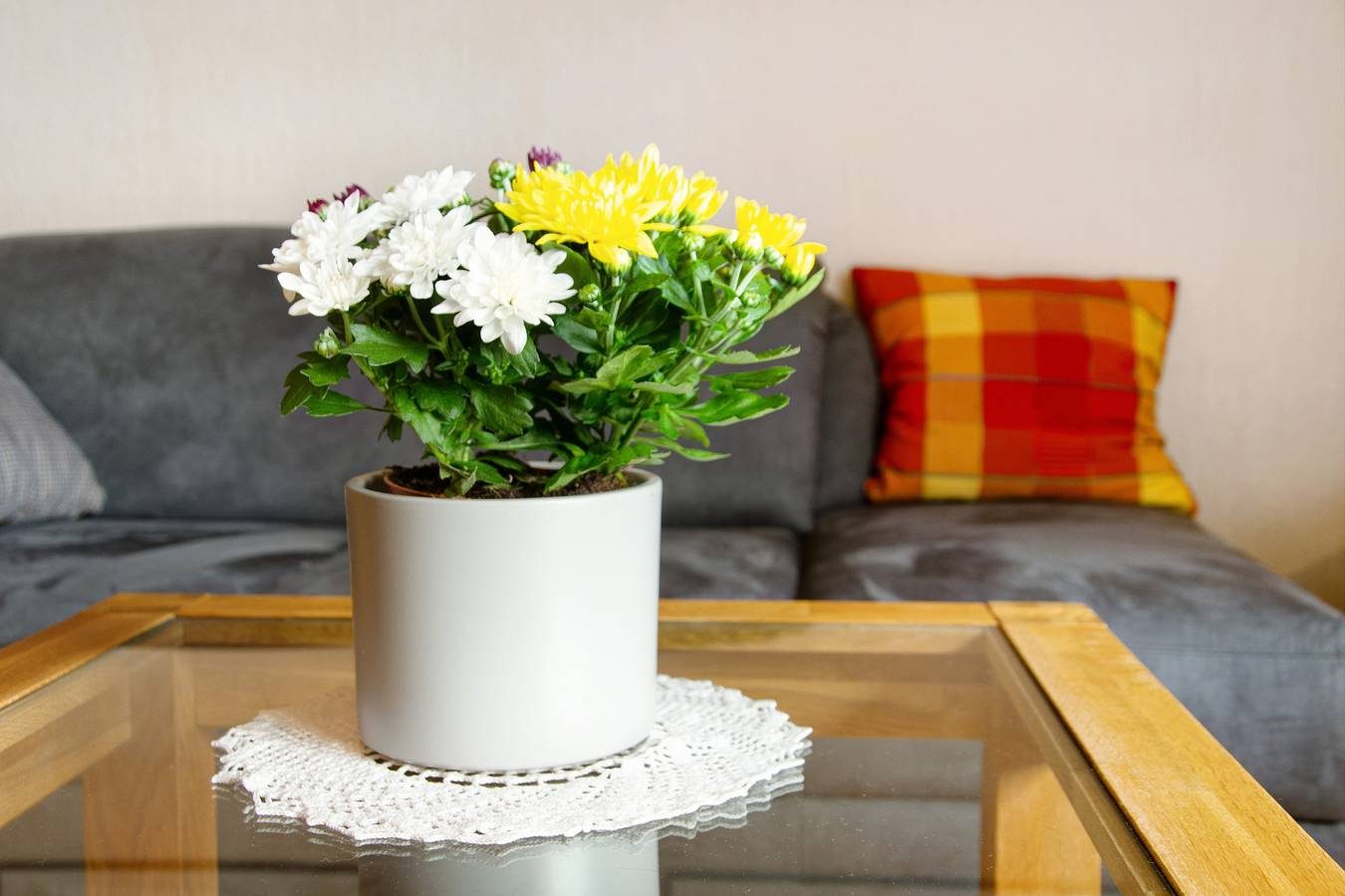 Einzimmerapartment 'Ferienwohnung Goldblume Hooksiel' mit Gemeinschaftsgarten, Balkon und Wlan — Bild 5
