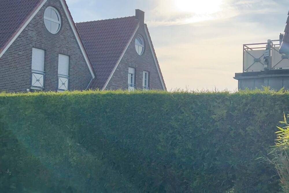 Möwennest - Fewo Heringsmöwe — Bild 2