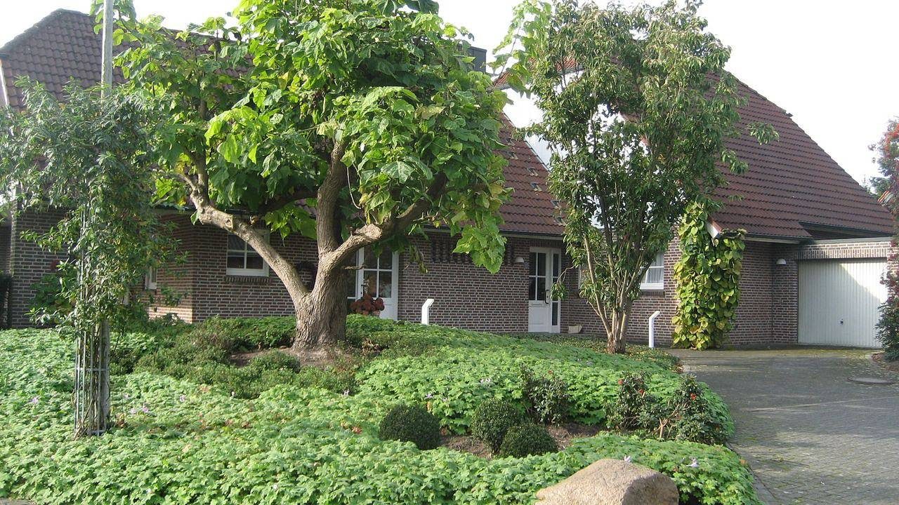 Ferienwohnung für 3 Personen (73 m²) in Schüttorf — Bild 2