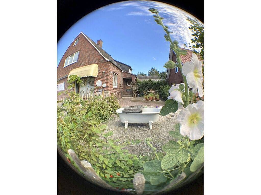 Pusteblume Komfortable Ferienresidenz — Bild 4