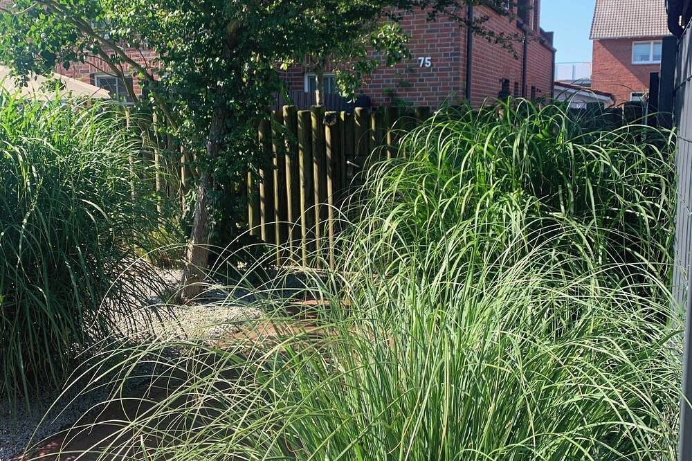 Südstrand Hus - Urlaub mit Hund - Wohnung 4 oben — Bild 4