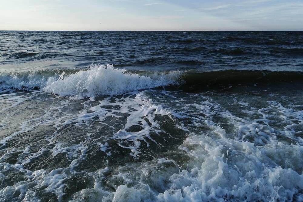 App C 61 - Moin am Deich — Bild 5
