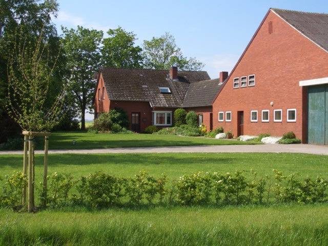Mittag, Anke "Ferienhof Mittag" - Ferienwohnung Rapsblüte - 35257