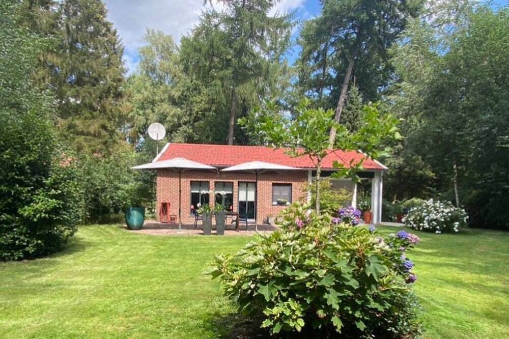Uelsen, Ferienhaus mit großen Garten in herrlicher Ruhe — Bild 2