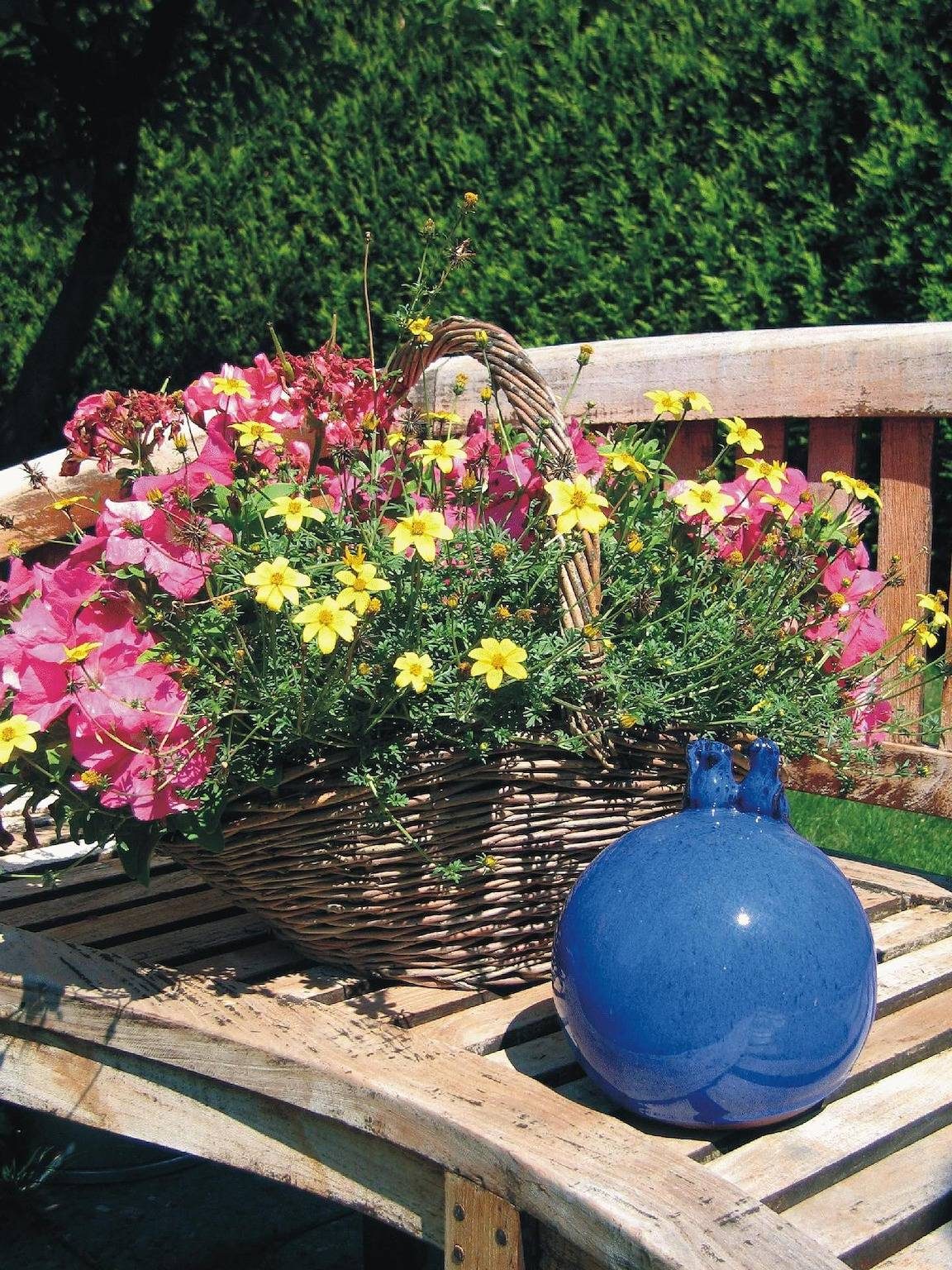 Komfortable Ferienwohnung in Wilhelmsfehn mit Grill, Garten und Terrasse — Bild 5