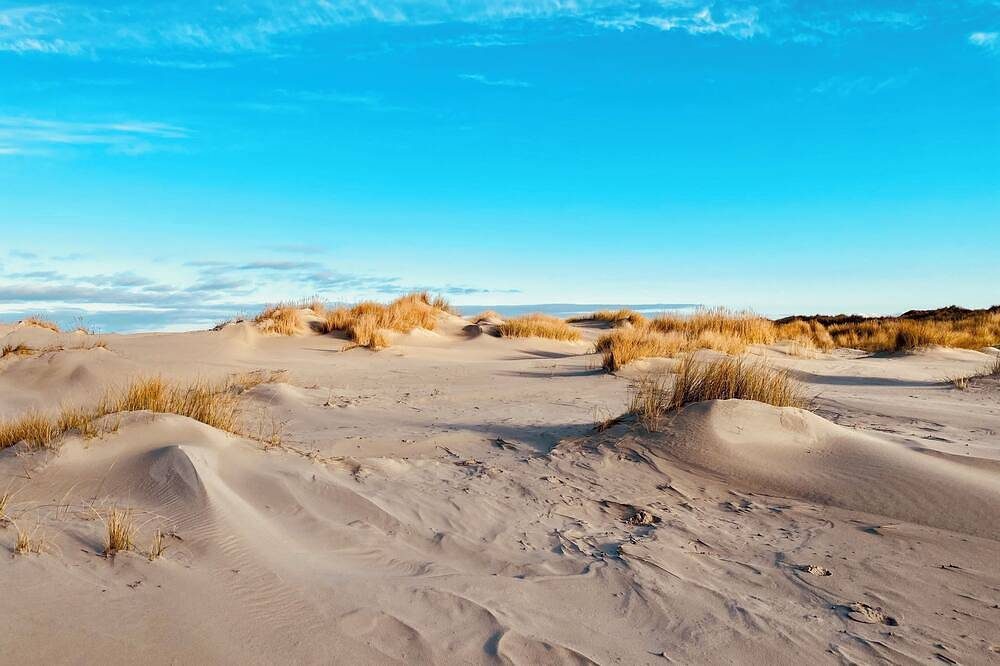 Wunderschöne helle Ferienwohnung in direkter Strandnähe inklusive Meeresrauschen — Bild 5